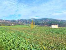 Prodej zemědělské půdy, Holín, 9316 m2