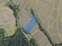 Prodej pole, Tisovec, 7341 m2