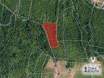 Prodej pole, Vinařice, 5664 m2