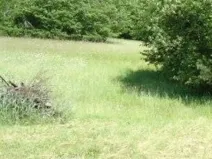 Prodej louky, Krucemburk, 9000 m2