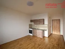 Pronájem bytu 1+1, Chomutov, Jirkovská, 35 m2