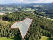 Prodej lesa, Petrovice u Sušice - Maršovice, 15707 m2