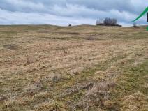 Prodej pole, Chodský Újezd, 387228 m2