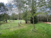 Prodej pozemku, Dolní Bukovsko - Bzí, 780 m2