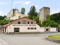 Prodej restaurace, Český Šternberk, 480 m2