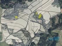 Prodej lesa, Zábřeh, 78836 m2