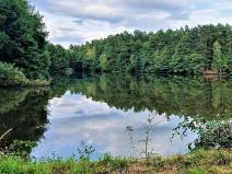 Prodej pozemku, Ralsko, 190159 m2