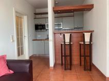 Pronájem bytu 1+kk, Brno - Brno-město, Česká, 26 m2