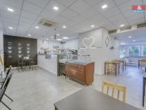 Pronájem obchodního prostoru, Třemošná, Plzeňská, 100 m2