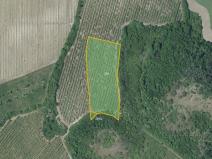 Prodej sadu/vinice, Děčany, 10567 m2