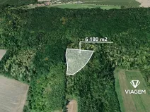 Prodej podílu lesa, Dobrovice, 2060 m2