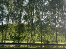 Dražba pozemku, Letovice, 1839 m2