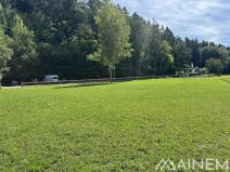 Pronájem pozemku, Dýšina, 2670 m2