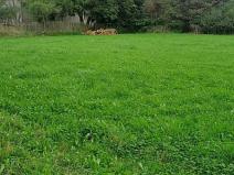 Prodej pozemku, Králova Lhota, 2640 m2