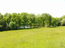 Dražba louky, Šluknov, 1989 m2