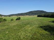 Prodej louky, Křižany, 2663 m2