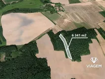 Prodej podílu lesa, Koloveč, 2021 m2