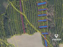 Prodej podílu lesa, Koloveč, 2599 m2