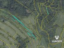 Prodej podílu lesa, Zubrnice, 2835 m2