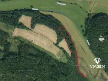 Prodej podílu lesa, Vranová Lhota, 4729 m2