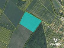 Prodej podílu pole, Nezdenice, 1098 m2