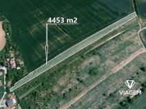Prodej zahrady, Moravany, 4453 m2