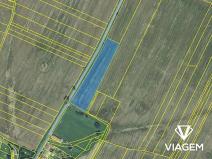 Prodej podílu pole, Dobromilice, 431 m2
