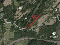 Prodej lesa, Doubrava, 2786 m2