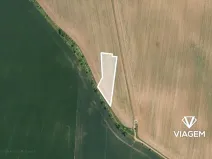 Prodej pole, Vinařice, 2917 m2