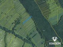 Prodej pole, Slavkov, 4196 m2