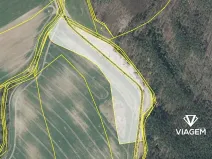 Prodej podílu pole, Jestřebí, 6859 m2