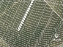 Prodej podílu pole, Moravská Nová Ves, 1640 m2