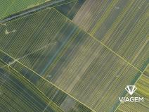 Prodej podílu pole, Moravská Nová Ves, 552 m2