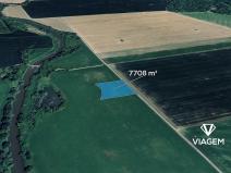 Prodej pole, Dub nad Moravou, 7708 m2