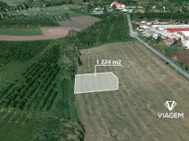 Prodej pole, Choltice, 1224 m2
