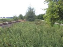 Dražba pozemku pro bydlení, Dobrovíz, 1547 m2