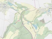 Dražba lesa, Havlíčkův Brod, 870 m2