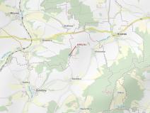 Dražba lesa, Milavče, 9168 m2