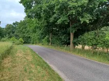 Dražba lesa, Ždírec, 1493 m2