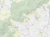 Dražba lesa, Černíkov, 522 m2