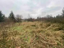 Dražba pozemku, Potěhy, 1589 m2