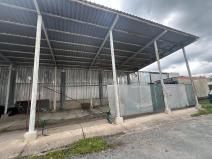 Pronájem - jiné, Hradec Králové, Přemyslova, 70 m2