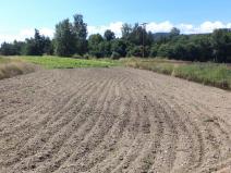 Prodej pozemku, Stráž, 15644 m2