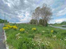 Prodej pozemku, Břidličná - Vajglov, 705 m2