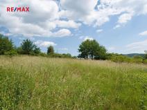 Prodej louky, Štěchovice, 4332 m2
