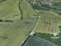 Prodej pole, Šarovy, 2006 m2