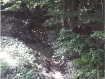 Prodej lesa, Vendryně, 3059 m2