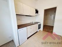 Pronájem bytu 1+1, Praha - Vinohrady, Kouřimská, 37 m2