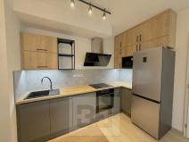 Pronájem bytu 2+kk, Praha - Žižkov, Olgy Havlové, 46 m2