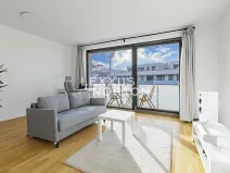 Prodej bytu 1+kk, Praha - Žižkov, Krásova, 36 m2